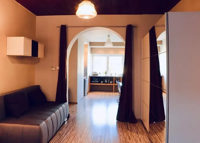 Modern Apt With River View Near City Center&Train